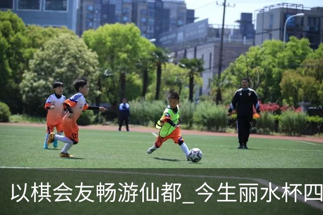 以棋会友畅游仙都 今生丽水杯四地围棋交流活动圆满落幕